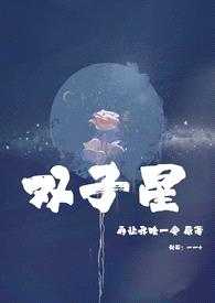 双子星(双胞胎 1v2)